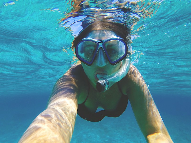Sardinia Boat Tour in Ogliastra: What Marine Animals You Can See